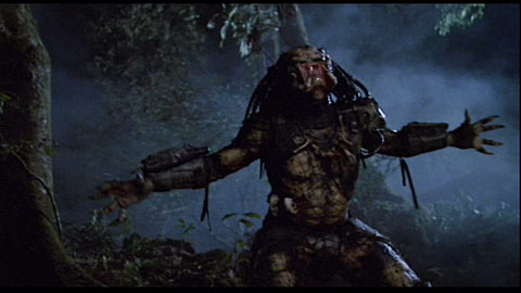 Predator