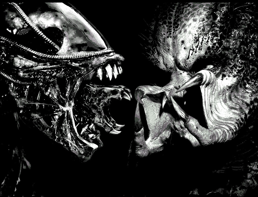 Aliens vs predator computer background - Cool , Alien Predator HD